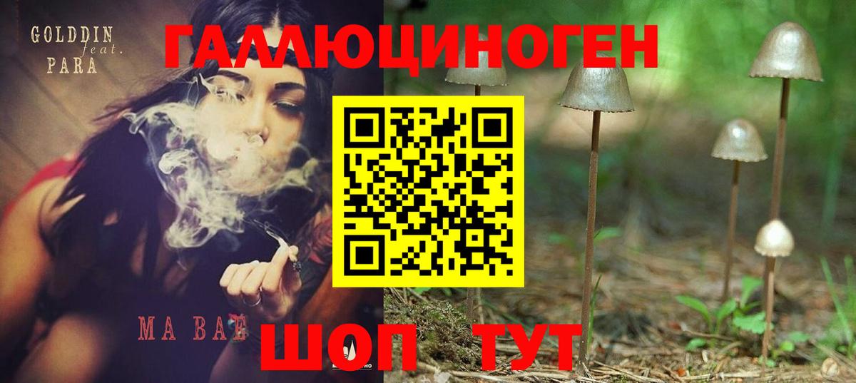 Галлюциногенные грибы ЛСД Удомля